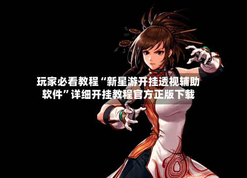 玩家必看教程“新星游开挂透视辅助软件”详细开挂教程官方正版下载