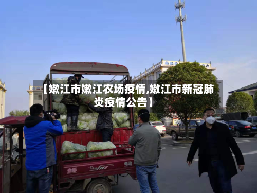 【嫩江市嫩江农场疫情,嫩江市新冠肺炎疫情公告】-第3张图片