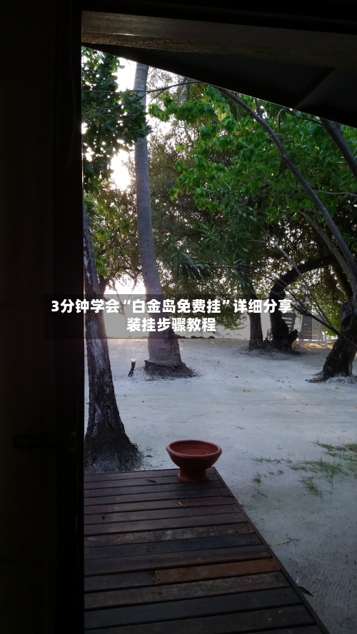 3分钟学会“白金岛免费挂”详细分享装挂步骤教程