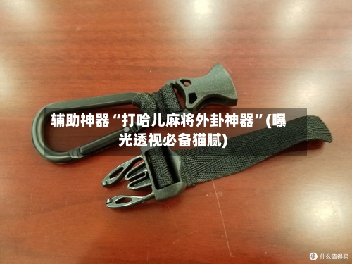 辅助神器“打哈儿麻将外卦神器”(曝光透视必备猫腻)-第2张图片