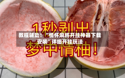 教程辅助！“情怀麻将开挂神器下载安装	”详细开挂玩法-第2张图片