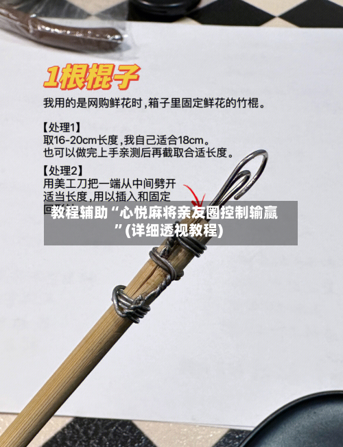 教程辅助“心悦麻将亲友圈控制输赢”(详细透视教程)-第2张图片