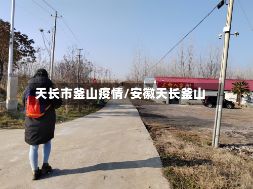 天长市釜山疫情/安徽天长釜山-第3张图片