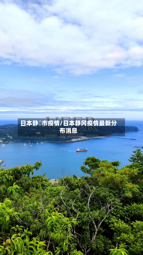 日本静岡市疫情/日本静冈疫情最新分布消息-第3张图片