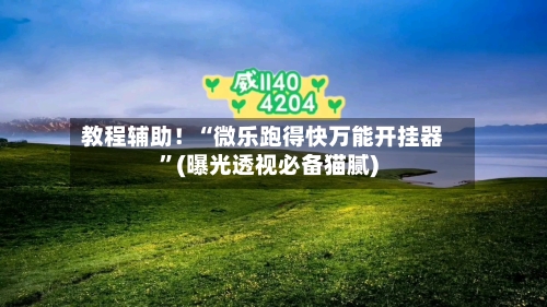 教程辅助！“微乐跑得快万能开挂器”(曝光透视必备猫腻)