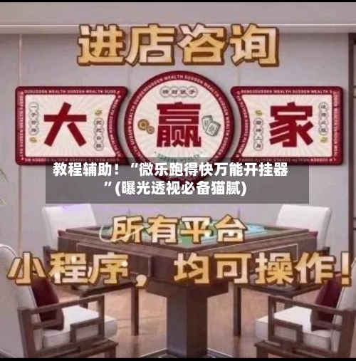 教程辅助！“微乐跑得快万能开挂器”(曝光透视必备猫腻)-第3张图片