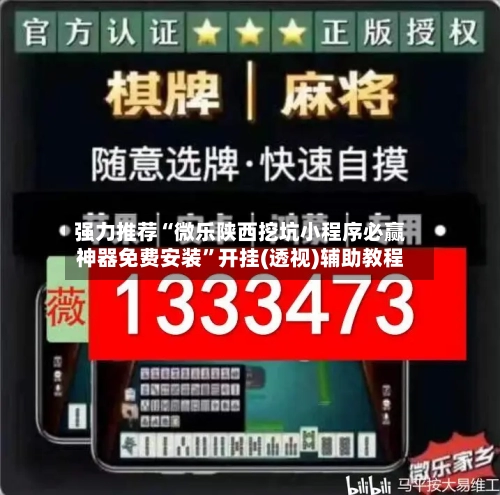 强力推荐“微乐陕西挖坑小程序必赢神器免费安装”开挂(透视)辅助教程-第2张图片