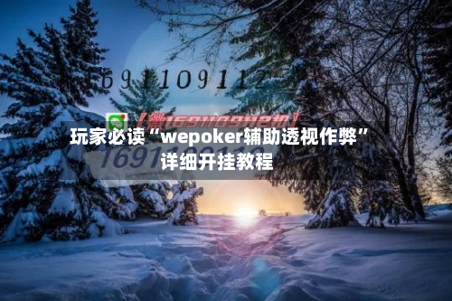 玩家必读“wepoker辅助透视作弊”详细开挂教程-第2张图片