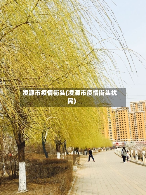 凌源市疫情街头(凌源市疫情街头扰民)