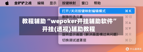教程辅助“wepoker开挂辅助软件”开挂(透视)辅助教程-第2张图片