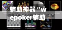 辅助神器“wepoker辅助哪里买(透视)”详细辅助透视-第2张图片