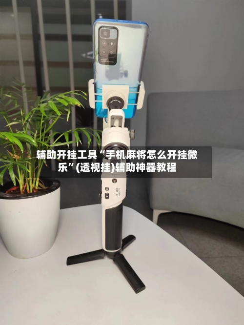 辅助开挂工具“手机麻将怎么开挂微乐	”(透视挂)辅助神器教程-第3张图片