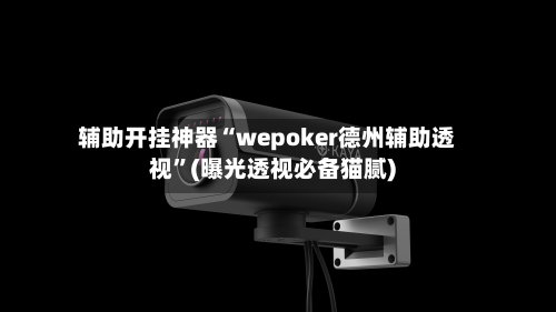 辅助开挂神器“wepoker德州辅助透视”(曝光透视必备猫腻)-第3张图片