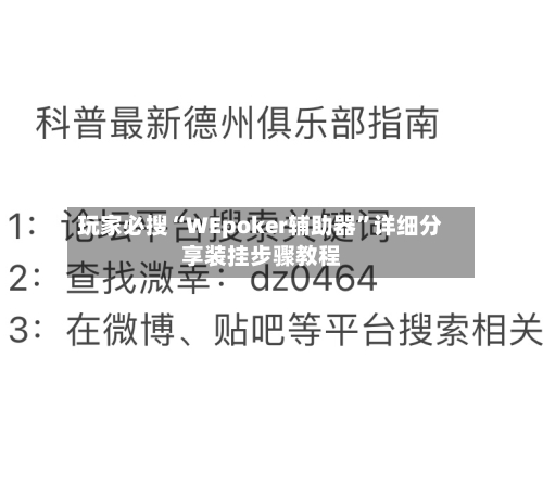 玩家必搜“WEpoker辅助器	”详细分享装挂步骤教程-第3张图片