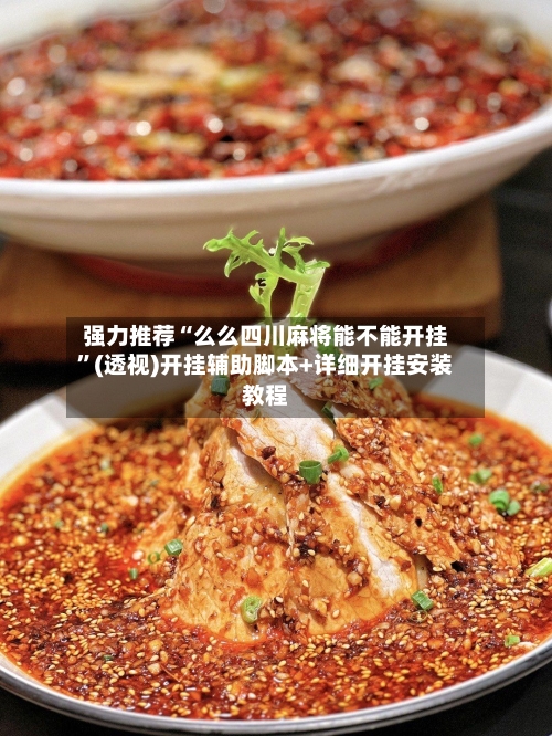 强力推荐“么么四川麻将能不能开挂”(透视)开挂辅助脚本+详细开挂安装教程-第2张图片