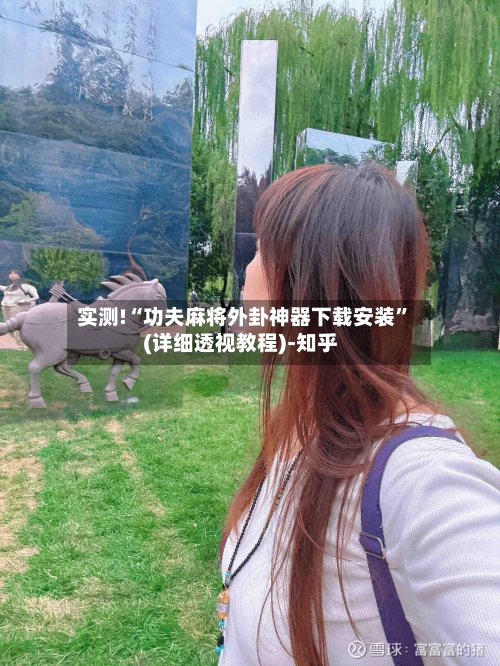 实测!“功夫麻将外卦神器下载安装”(详细透视教程)-知乎-第2张图片