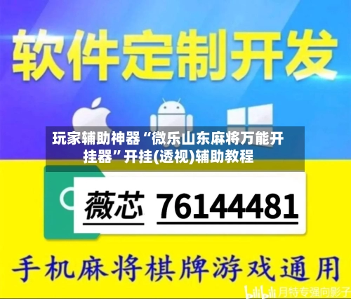 玩家辅助神器“微乐山东麻将万能开挂器”开挂(透视)辅助教程-第2张图片
