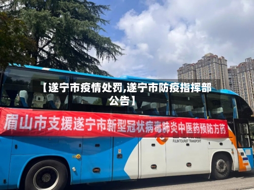 【遂宁市疫情处罚,遂宁市防疫指挥部公告】-第2张图片