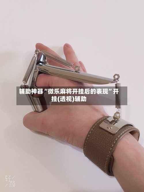 辅助神器“微乐麻将开挂后的表现”开挂(透视)辅助