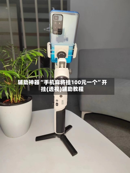 辅助神器“手机麻将挂100元一个”开挂(透视)辅助教程-第3张图片