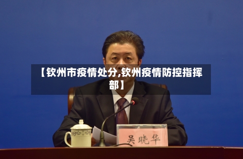 【钦州市疫情处分,钦州疫情防控指挥部】