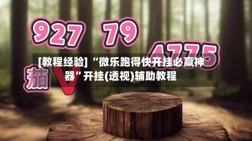 [教程经验] “微乐跑得快开挂必赢神器”开挂(透视)辅助教程