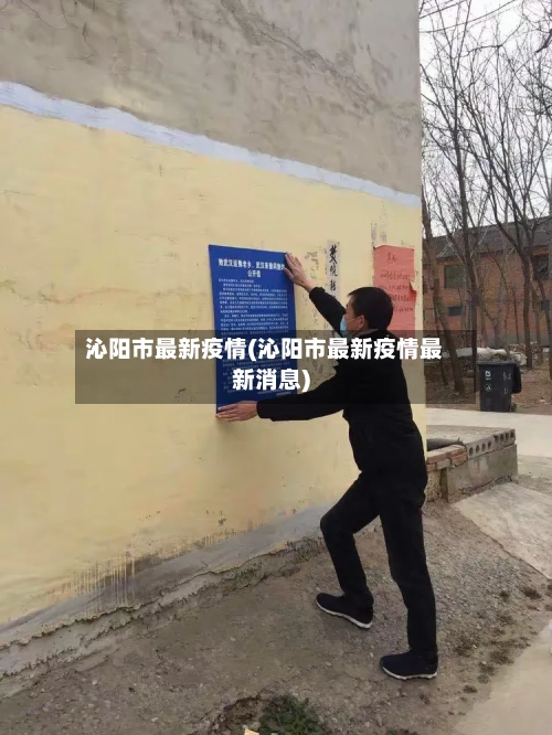 沁阳市最新疫情(沁阳市最新疫情最新消息)-第2张图片