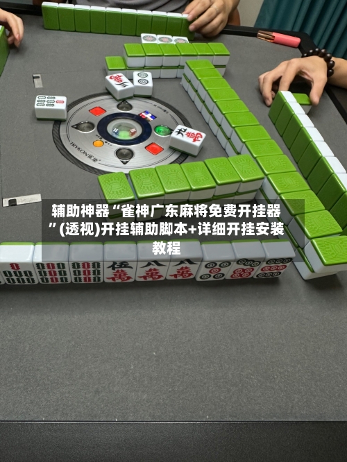 辅助神器“雀神广东麻将免费开挂器”(透视)开挂辅助脚本+详细开挂安装教程-第2张图片