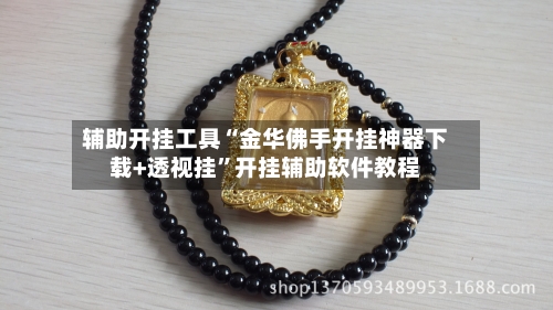 辅助开挂工具“金华佛手开挂神器下载+透视挂”开挂辅助软件教程-第3张图片