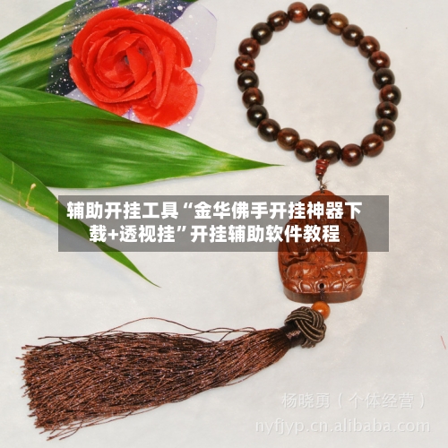 辅助开挂工具“金华佛手开挂神器下载+透视挂”开挂辅助软件教程-第2张图片