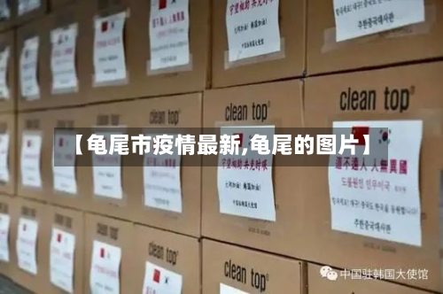 【龟尾市疫情最新,龟尾的图片】-第2张图片