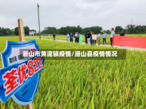 潜山市黄泥镇疫情/潜山县疫情情况-第2张图片