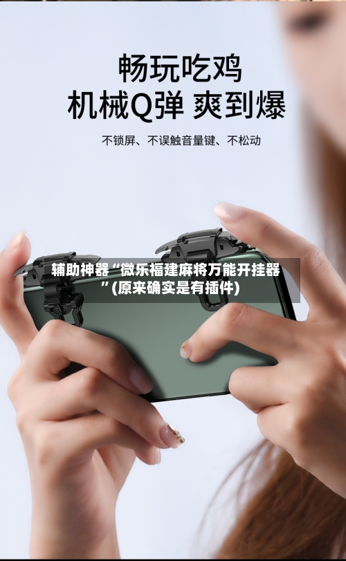 辅助神器“微乐福建麻将万能开挂器”(原来确实是有插件)-第3张图片