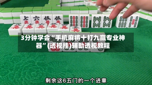 3分钟学会“手机麻将十打九赢专业神器	”(透视挂)辅助透视教程-第3张图片