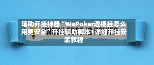 辅助开挂神器“WePoker透视挂怎么用更安全	”开挂辅助脚本+详细开挂安装教程-第2张图片