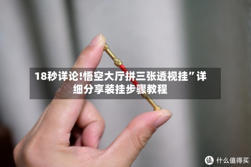 18秒详论!悟空大厅拼三张透视挂	”详细分享装挂步骤教程-第3张图片