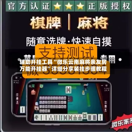 辅助开挂工具“微乐云南麻将亲友房万能开挂器	”详细分享装挂步骤教程-第3张图片