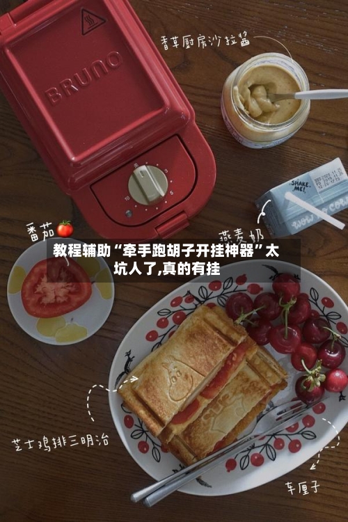 教程辅助“牵手跑胡子开挂神器”太坑人了,真的有挂-第3张图片