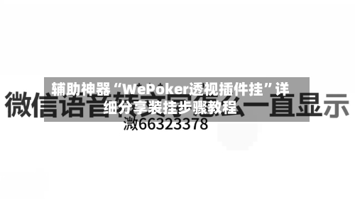 辅助神器“WePoker透视插件挂”详细分享装挂步骤教程-第3张图片