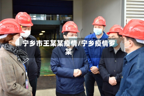 宁乡市王某某疫情/宁乡疫情罗某