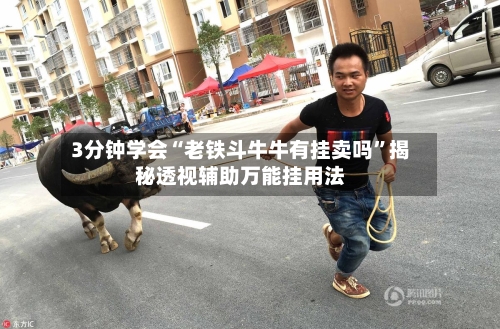 3分钟学会“老铁斗牛牛有挂卖吗	”揭秘透视辅助万能挂用法-第2张图片