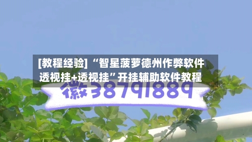 [教程经验] “智星菠萝德州作弊软件透视挂+透视挂”开挂辅助软件教程-第2张图片