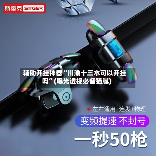 辅助开挂神器“川渝十三水可以开挂吗”(曝光透视必备猫腻)-第2张图片