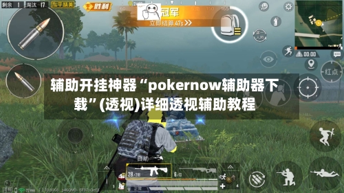 辅助开挂神器“pokernow辅助器下载”(透视)详细透视辅助教程-第3张图片