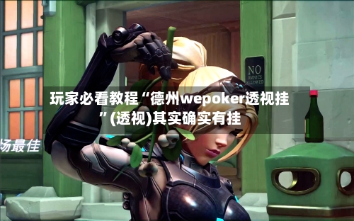 玩家必看教程“德州wepoker透视挂	”(透视)其实确实有挂-第2张图片