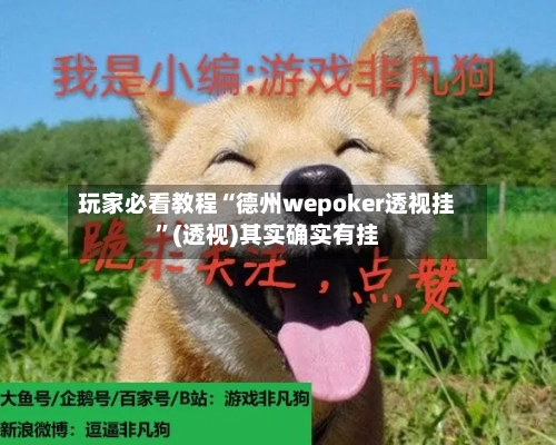 玩家必看教程“德州wepoker透视挂”(透视)其实确实有挂-第3张图片