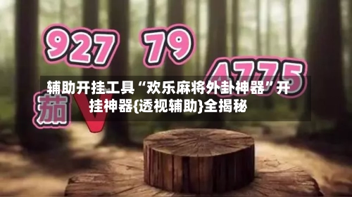 辅助开挂工具“欢乐麻将外卦神器”开挂神器{透视辅助}全揭秘-第2张图片