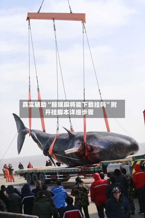 真实辅助“鲸娱麻将能下载挂吗”附开挂脚本详细步骤-第2张图片