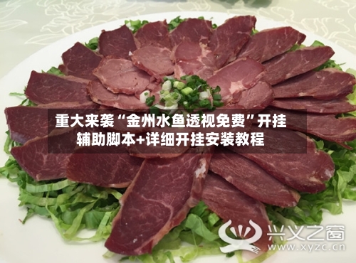 重大来袭“金州水鱼透视免费”开挂辅助脚本+详细开挂安装教程-第2张图片