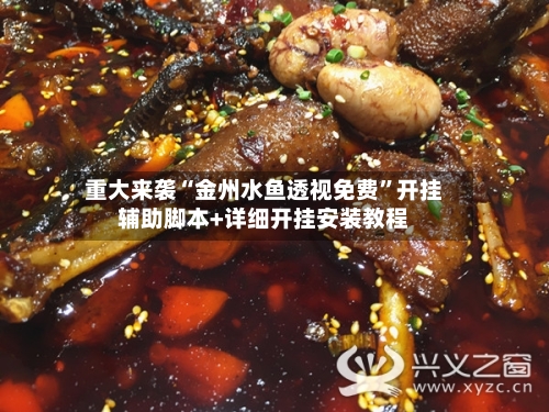 重大来袭“金州水鱼透视免费”开挂辅助脚本+详细开挂安装教程-第3张图片